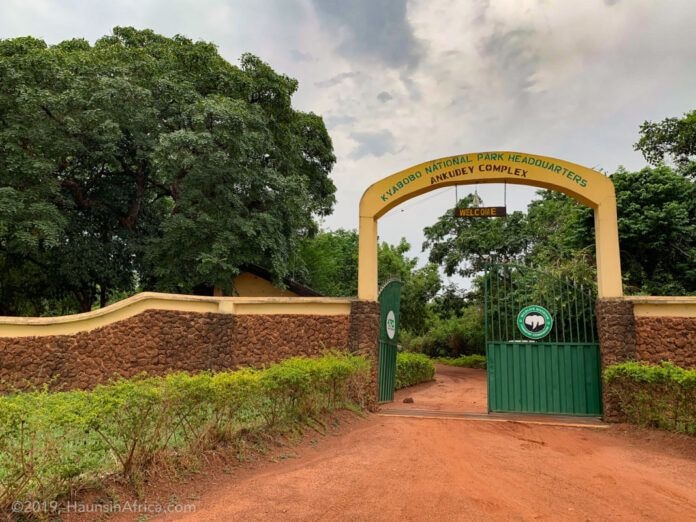 Poaching driving down tourism, biodiversity at Kyabobo National Park