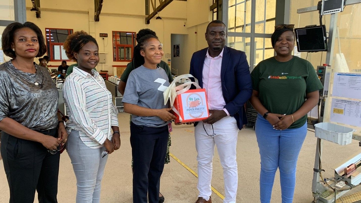 Zipline to improve Artificial Insemination in pig farming