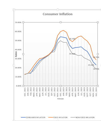 Consumer inflation ends 2023 at 23.2%
