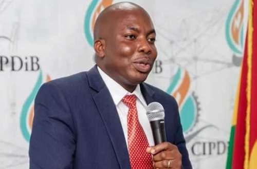 Emissions Levy will drive up electricity tariffs – IPPs warn