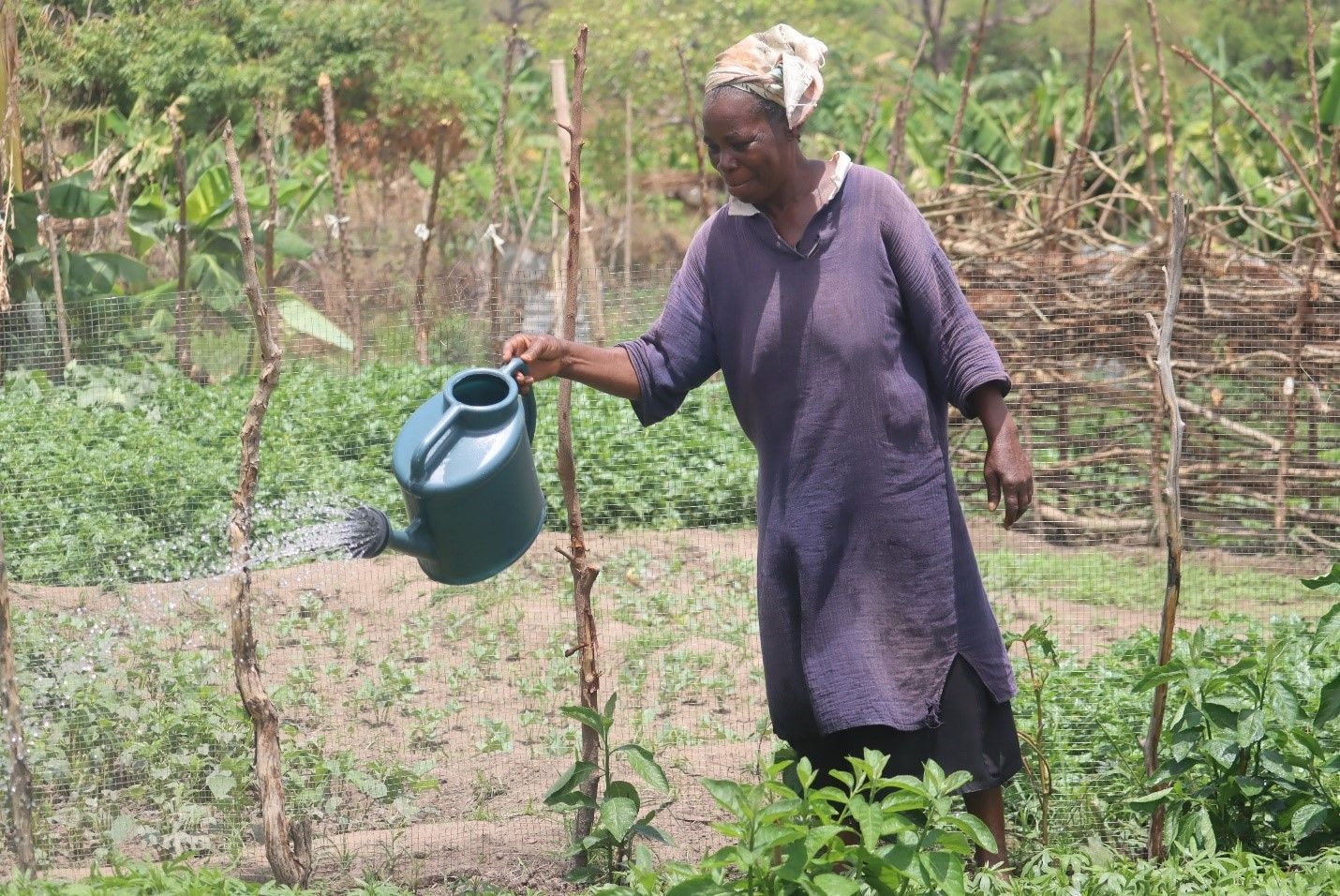 Economy faces US$14.25bn annual climate finance deficit