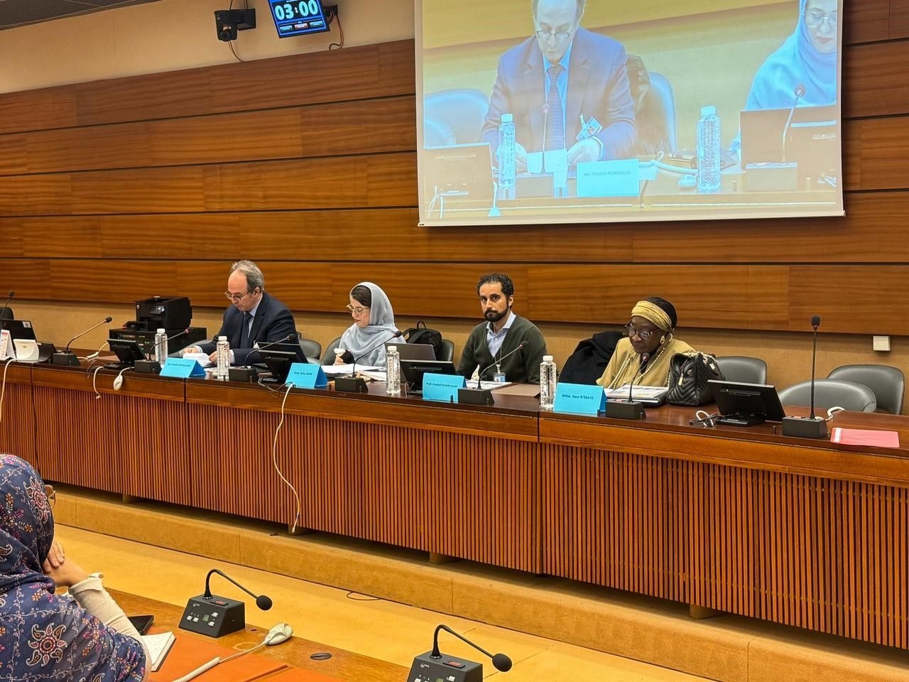 Morocco's role in Sahel and Maghreb development highlighted at Geneva conference