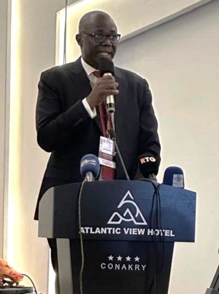 ‘Empathise with accident victims’- Chairman, Bureaux, ECOWAS Brown Card