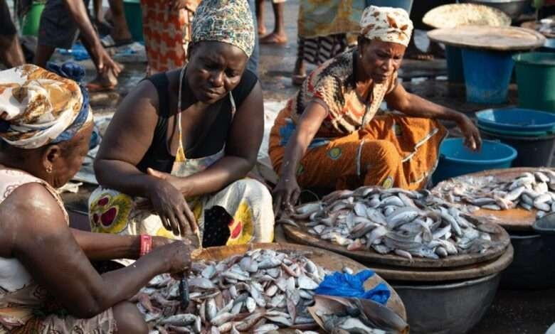 FAO, Norway support fisheries stock survey; eight local scientists under training