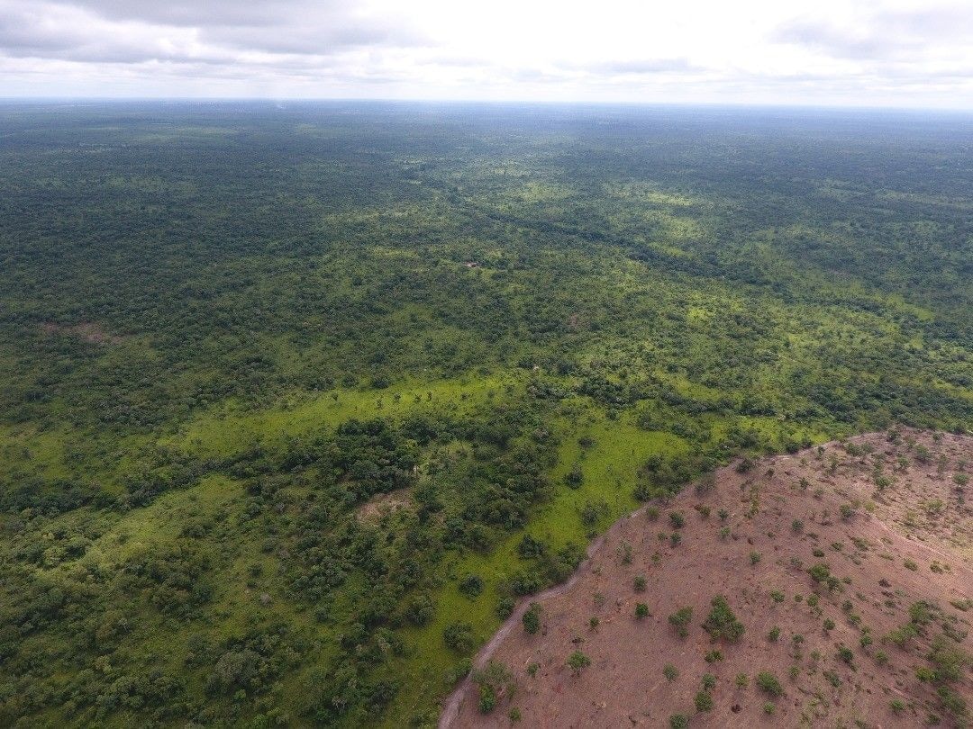 AstraZeneca highlights commitment to tackling climate change and biodiversity loss