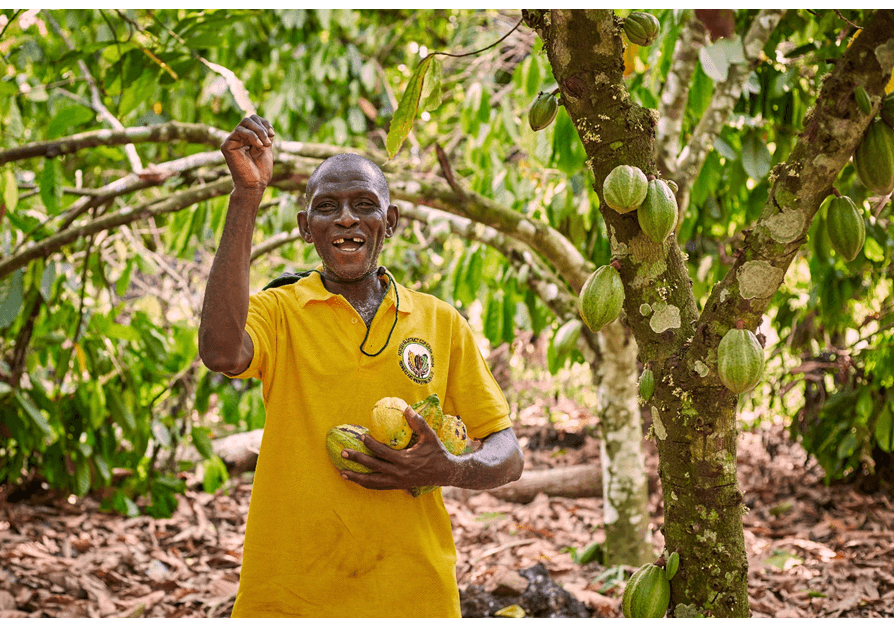 Solidaridad formally ends first phase of Cocoa Life initiative