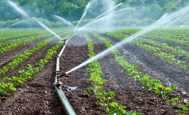 Agriculture thrives where water flows: how Ghana is failing to utiise irrigation for food production