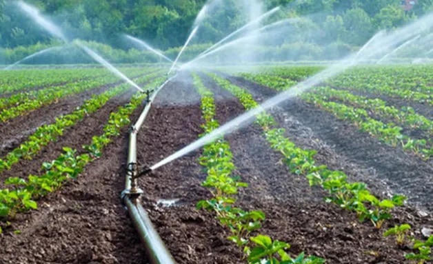 Editorial: Underutilised irrigation in agriculture could prove fateful