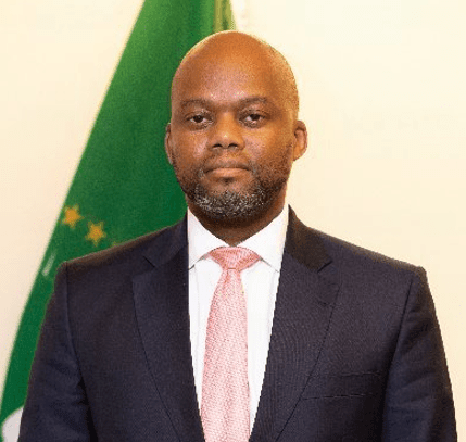 France new economic approach with Africa