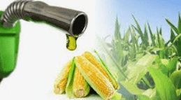 Coalition sounds alarm on biofuel risks to food security, deforestation, others