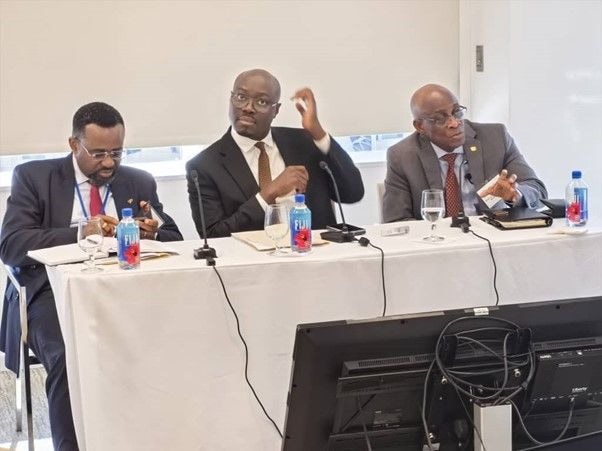 Fin minister leads delegation to engage investor community