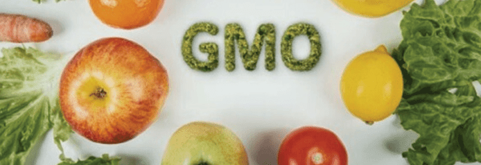  Gov’t urged to tighten laws on GMOs
