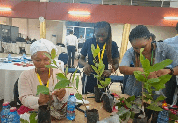 Over 100 cashew sector actors receive training to boost