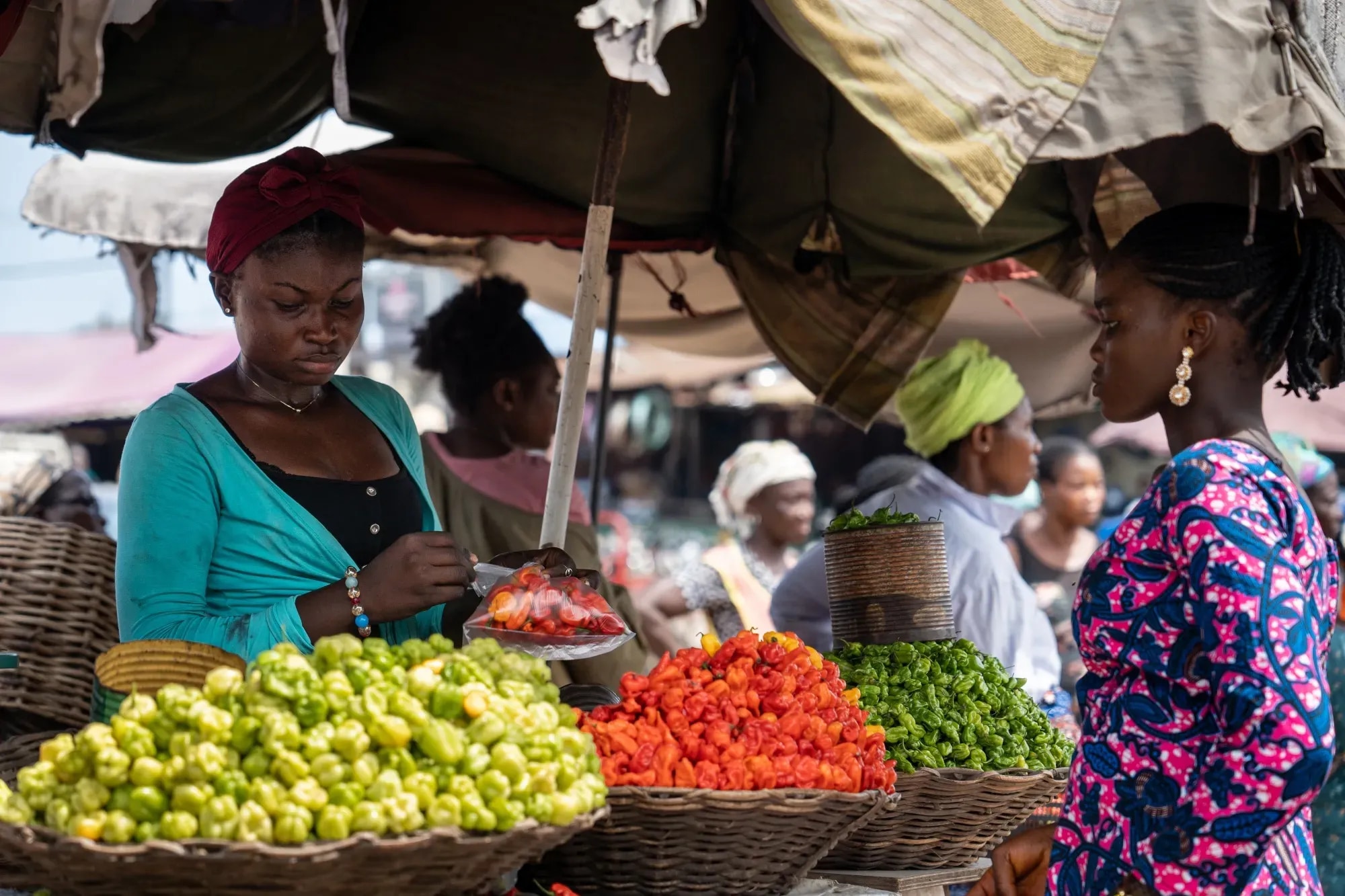 The economy:  Structure, fundamentals, and the path to sustainable growth through SME investment