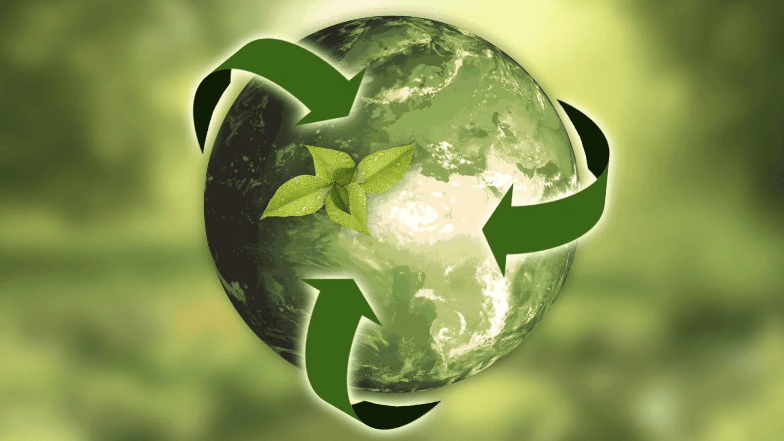 The circular economy revolution: Rethinking the plastic future: From The Customer-centric Entrepreneur Project