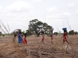 Threat of acute food insecurity?