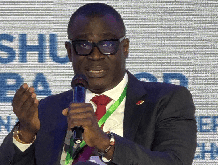 UBA MD calls for shift from ESG frameworks to execution