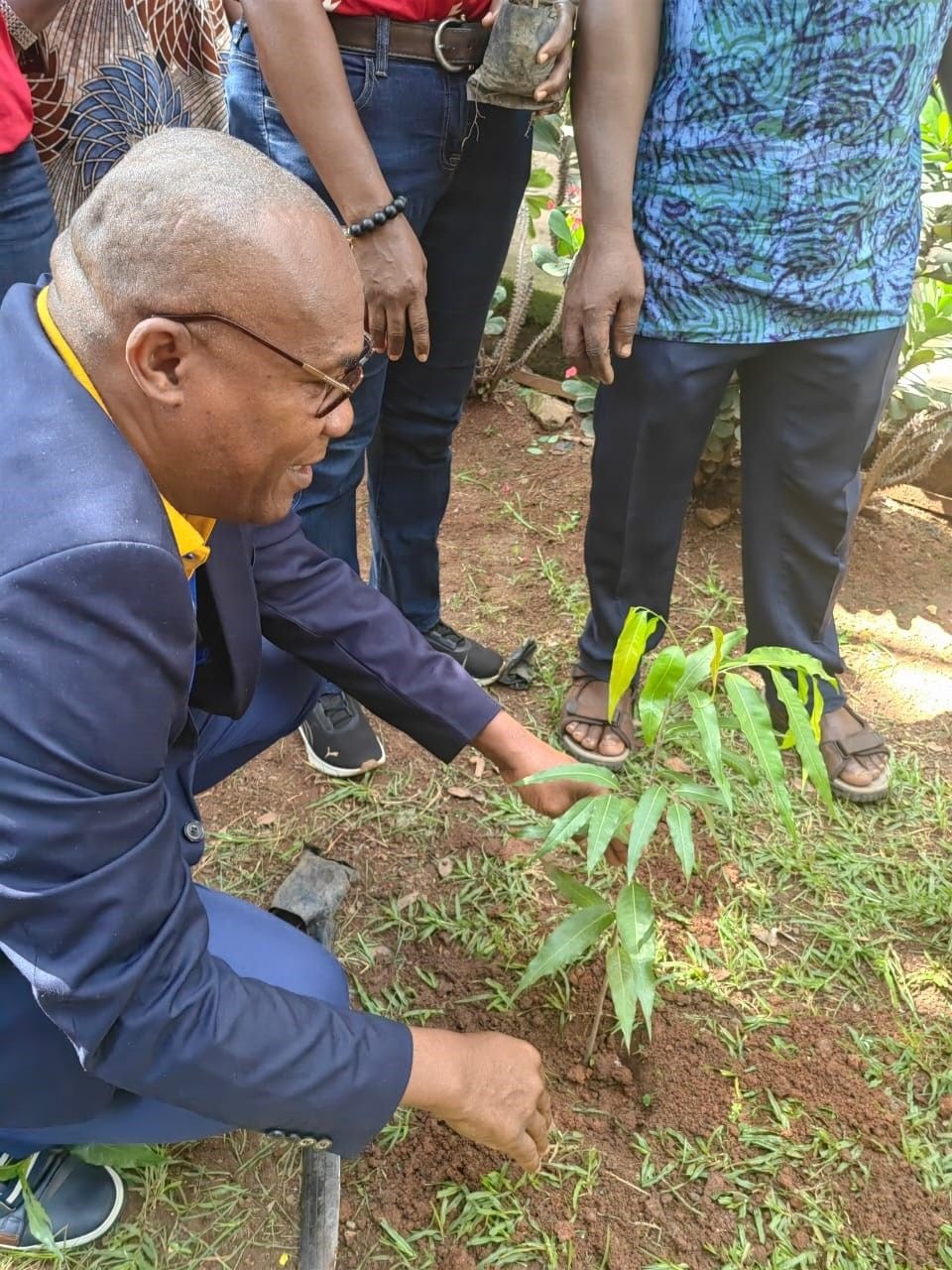 ECG champions environmental stewardship with reforestation drive in Ashanti South
