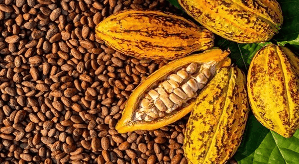 Market sees strong appetite for COCOBOD bond but pricing will be key
