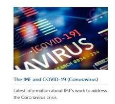 COURAGE UNDER FIRE:   Policy responses in emerging market and developing economies to the COVID-19 pandemic