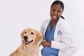 Harmonise veterinary laws   – VEMTAG urges gov’t