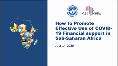 Economic Governance Platform participates in IMF Webinar on ‘Promoting Effective Use of COVID-19 Finances in Africa’