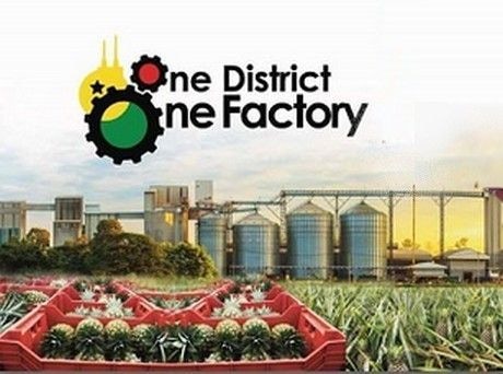 76 1D1F factories in operation; 232 on course – Finance Minister