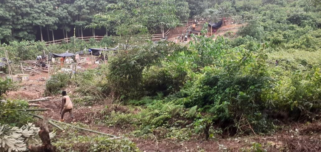 Galamsey operators take over rubber plantation in Western Region