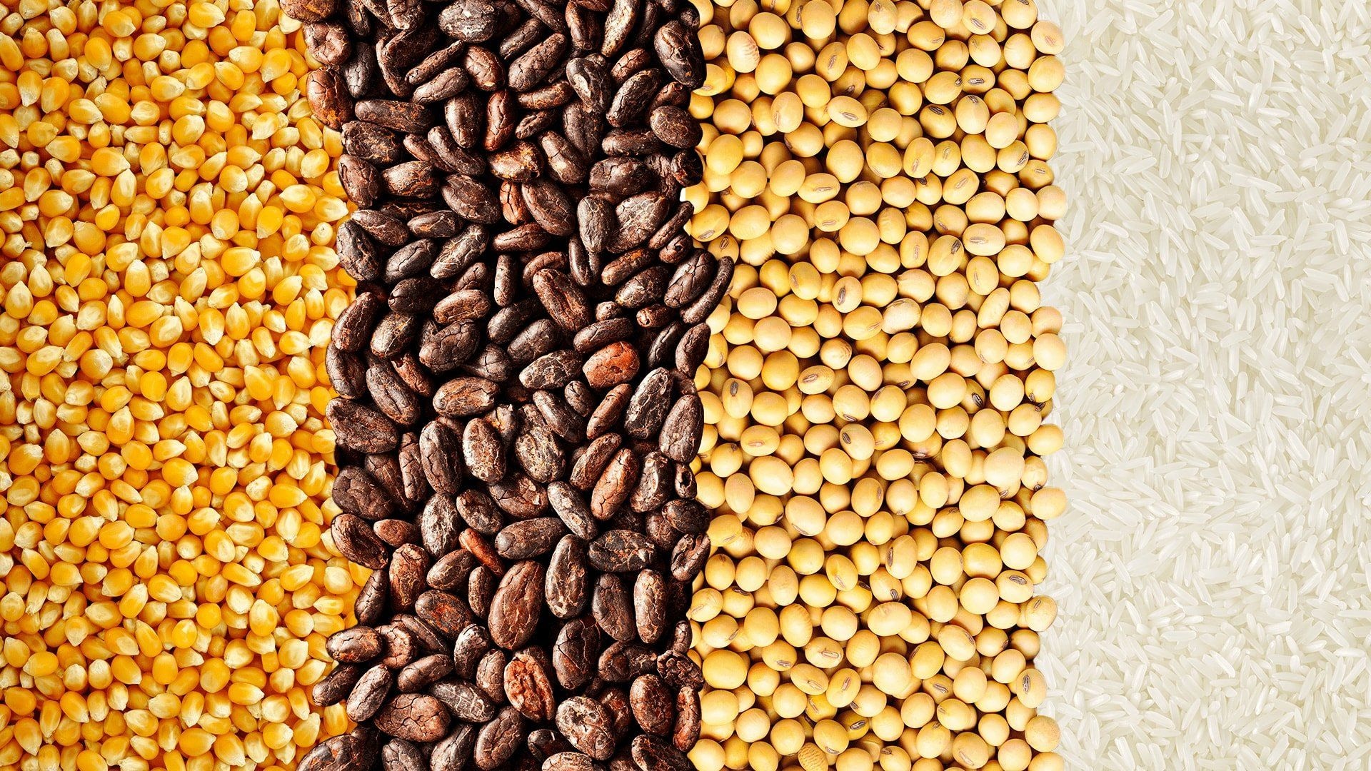 Legislative Instrument needed to standardize pricing in local commodities markets