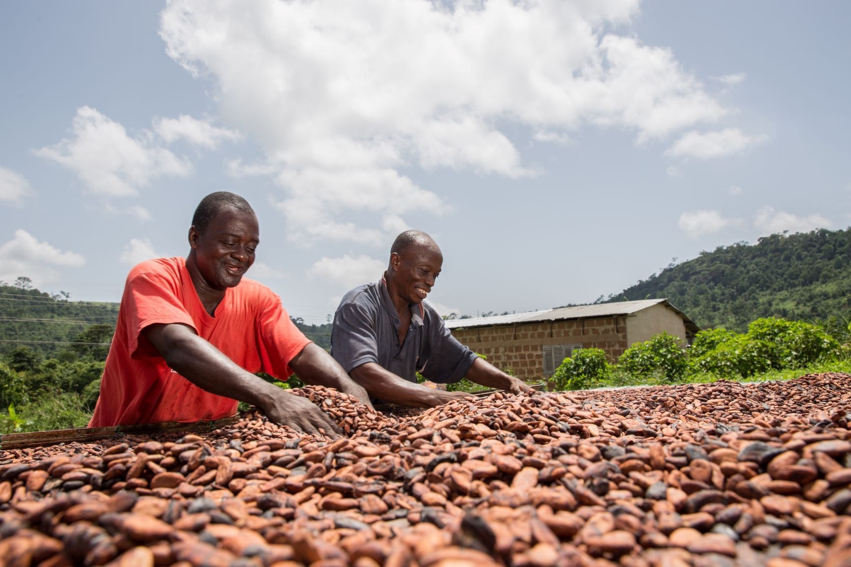 Cheaper cocoa may not be a recipe for lower chocolate prices