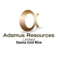 Adamus Resources directed to deliver Nzema Mines gold into custody of BoG