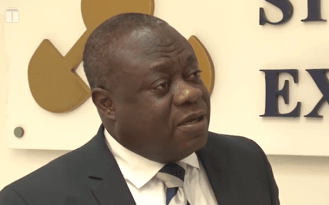 Equities, bonds on bearish run in August – GSE
