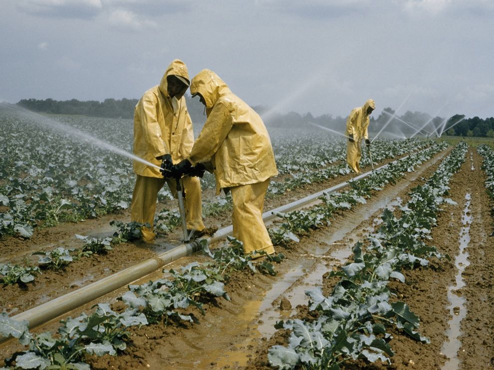Feature: Building back better on food and agriculture