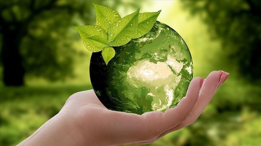 Unveiling a green horizon