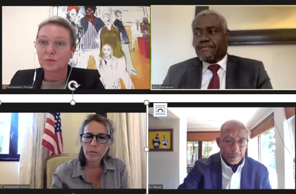 Virtual Dialogue of African Union Partner Group on AU Reforms and AUDA-NEPAD Transition