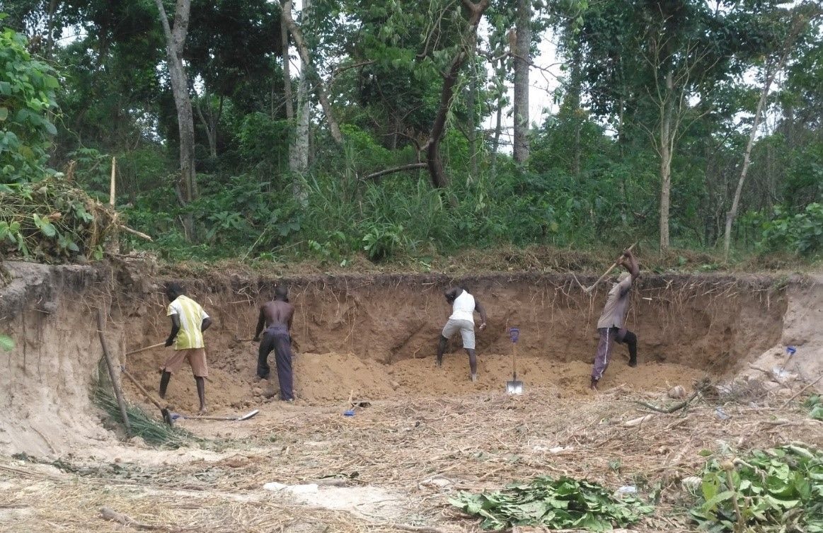 Sand winning destroying cocoa farms in Ashanti Region