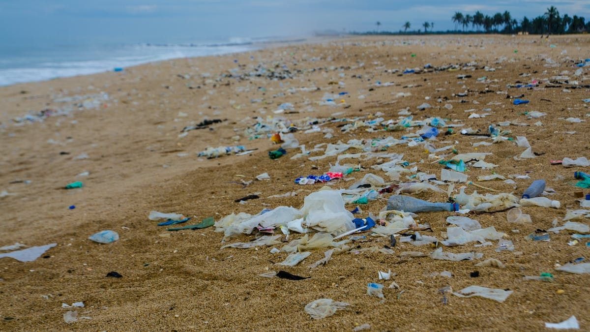 Party manifestoes neglected environment and natural resources - CSOs