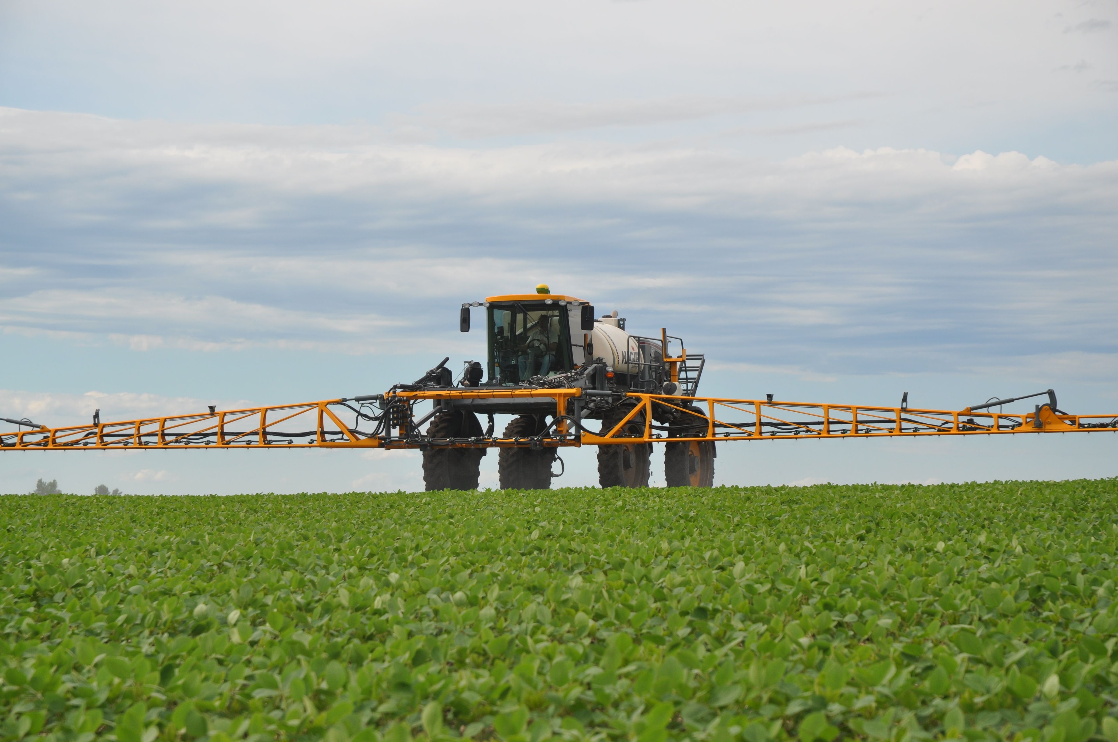 Feed the Future Programme helps sustain the Agribusiness Sector through pandemic