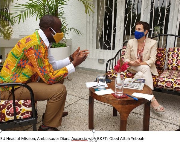 FDIs won’t make continent lose AfCFTA benefits – EU Ambassador