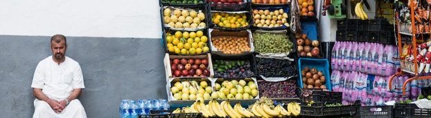 COVID-19 and food security: …can emerging economies mitigate rising prices?