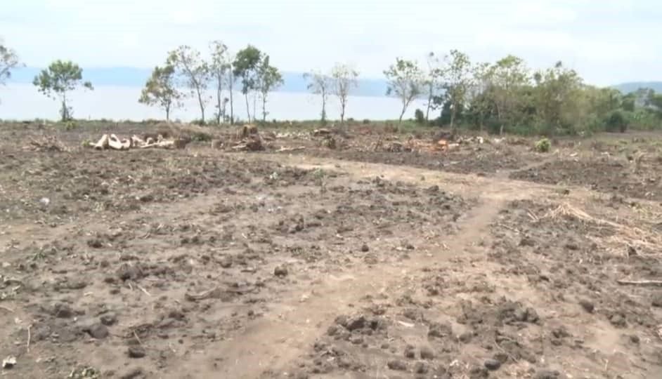 Destroyers of trees around Lake Bosomtwe won’t go unpunished’