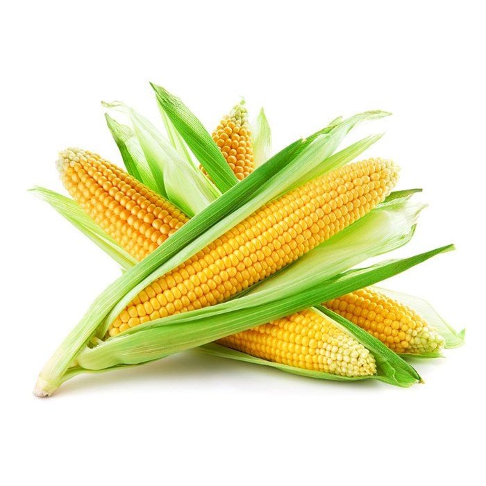 Maize, legumes production tipped to rise over favourable prices