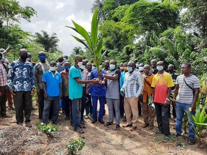 150 Adansi Akrofuom farmers receive 4,000 coconut seedlings to boost production
