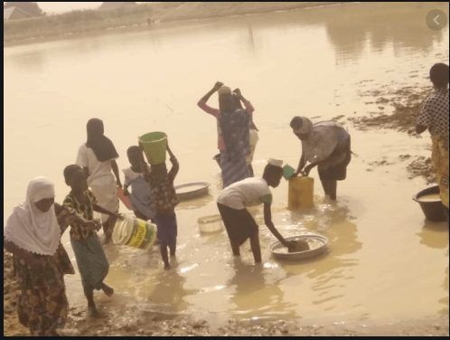 Water crisis leaves Tamale residents, students competing with animals for untreated water