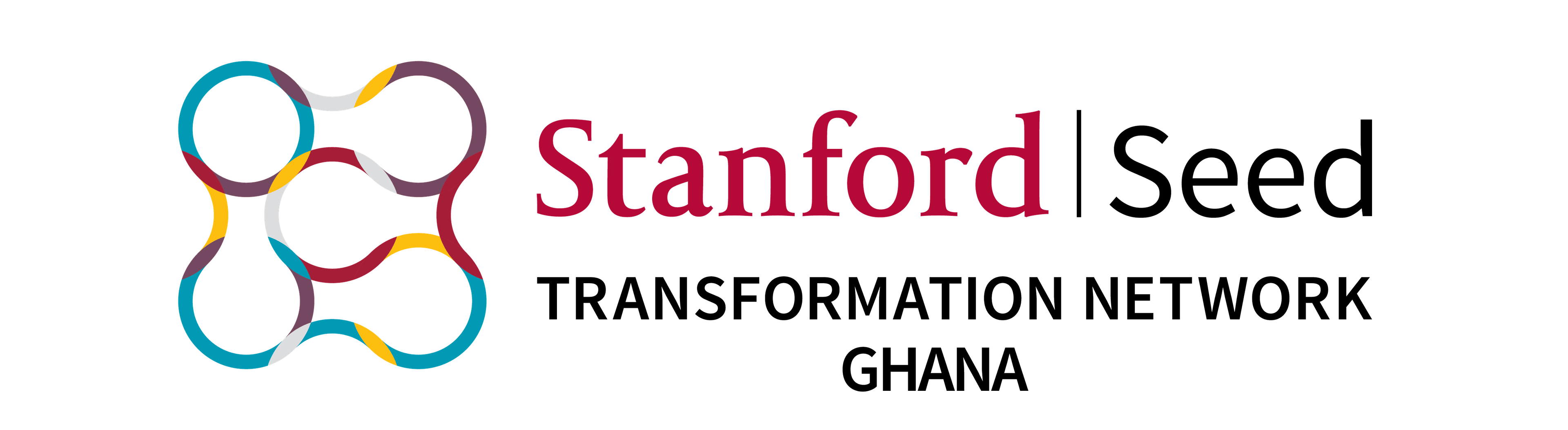 STN top CEOs to mentor young leaders and entrepreneurs