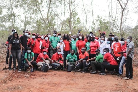 Vodafone plants 4,000 trees throughout the month of June