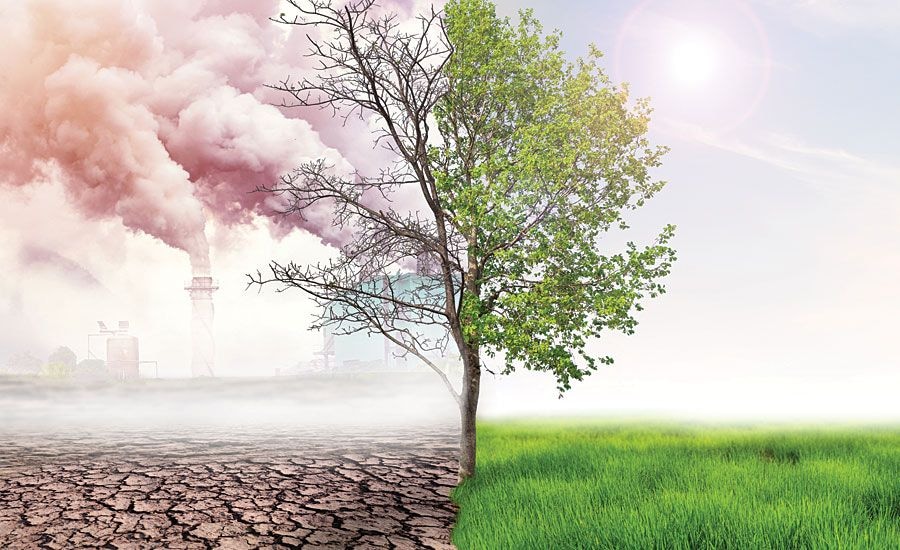 CLIMATE CHANGE REAL:  Decarbonization and carbon sinks inevitable