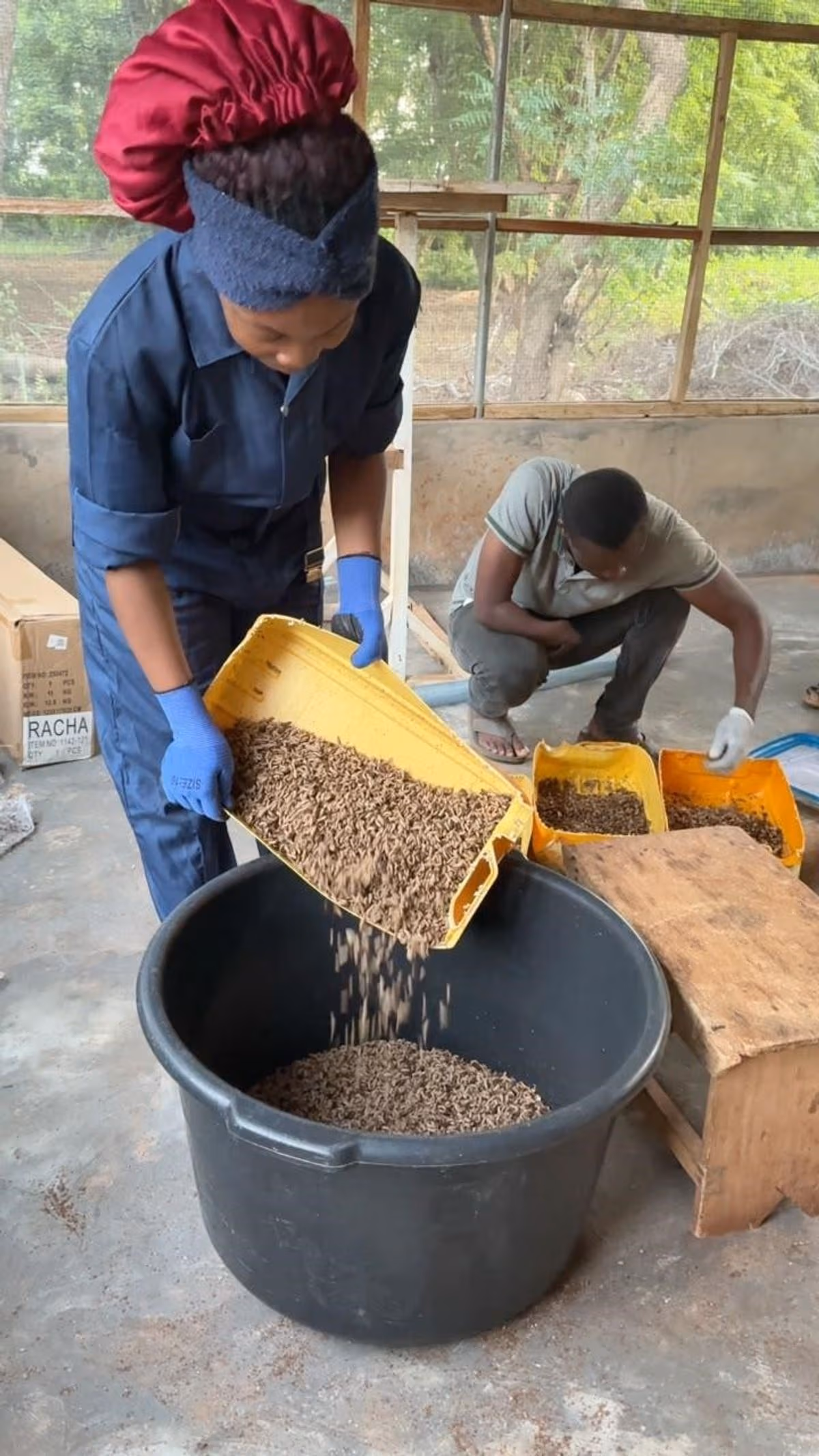 From technology park to enterprise: How black soldier fly innovation is creating new opportunities for farmers in the North