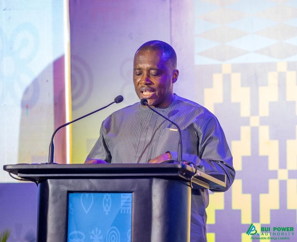 Smarter grids key to Africa’s energy transition — Bui Power CEO