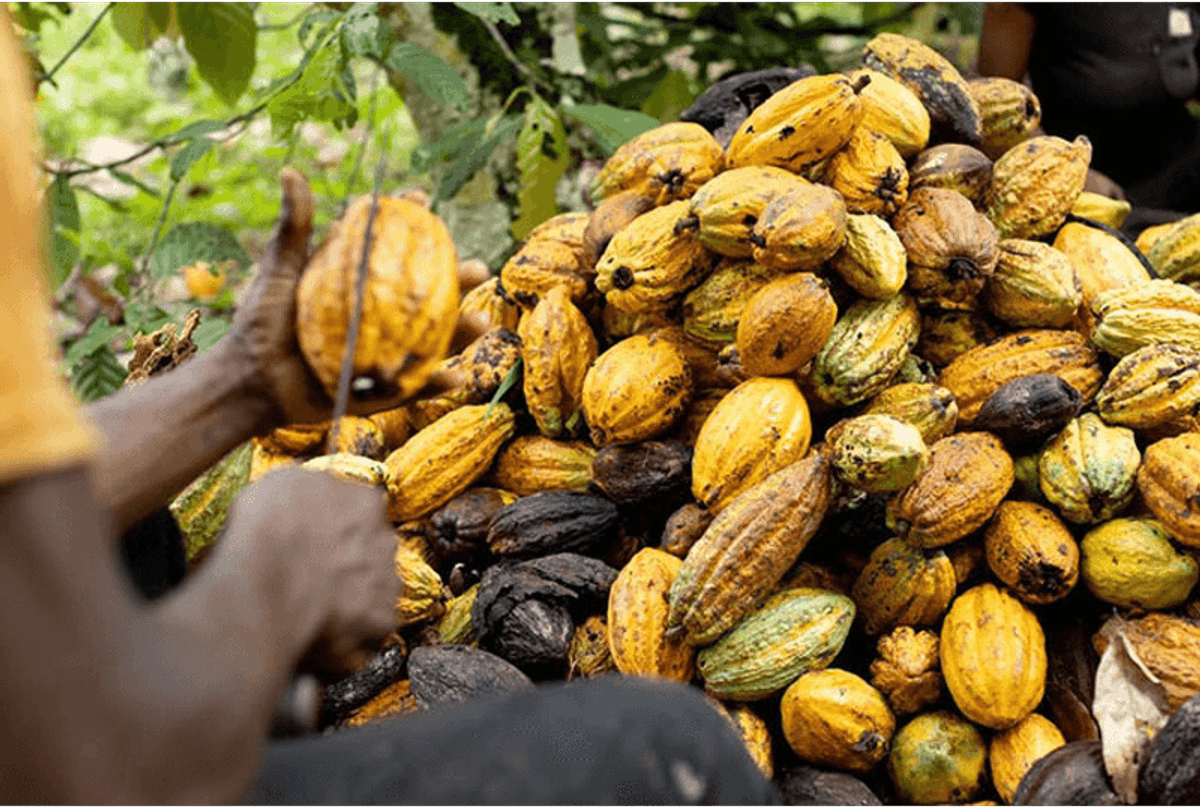 COCOBOD targets below-60% crop collateralisation